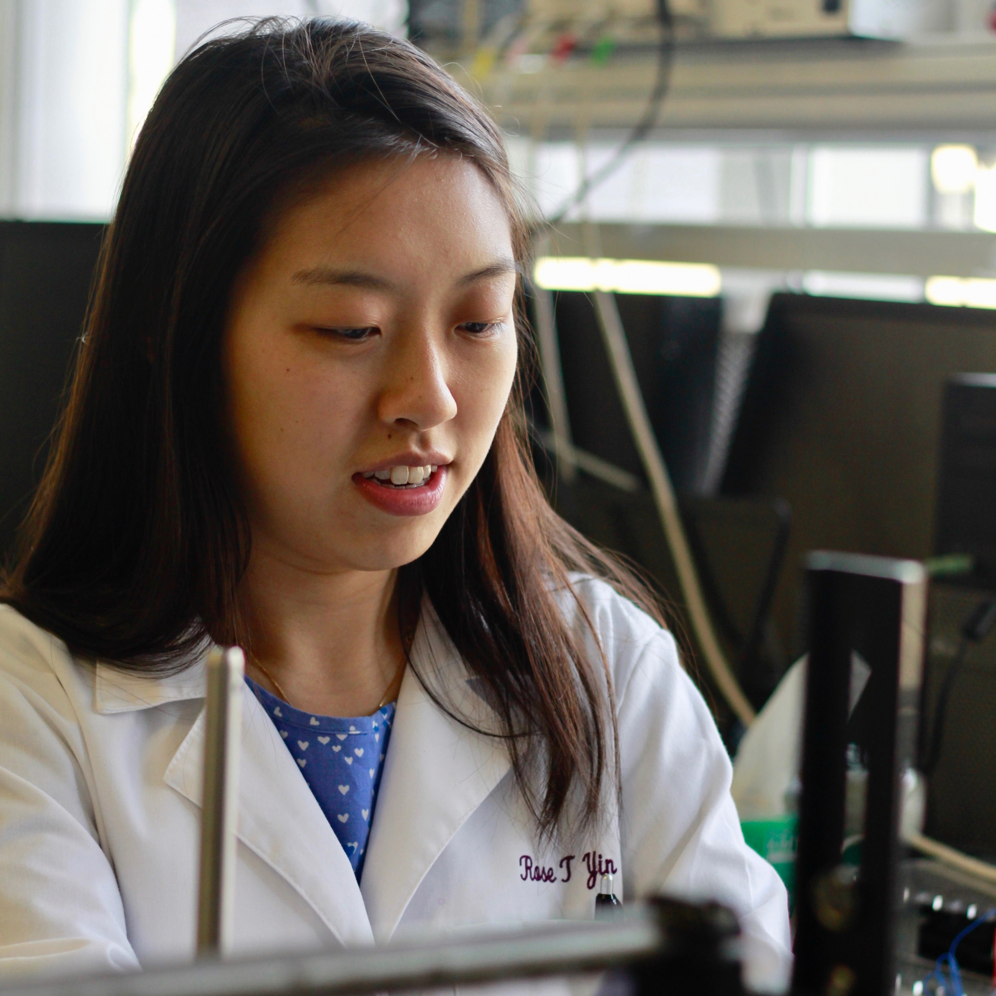 Rose in a lab